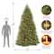 10 ft. Pre-Lit Dunhill® Fir Hinged Full Artificial Christmas Tree, LV Dual Color LED Lights
